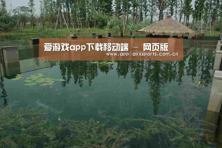 案例展示二(图1)