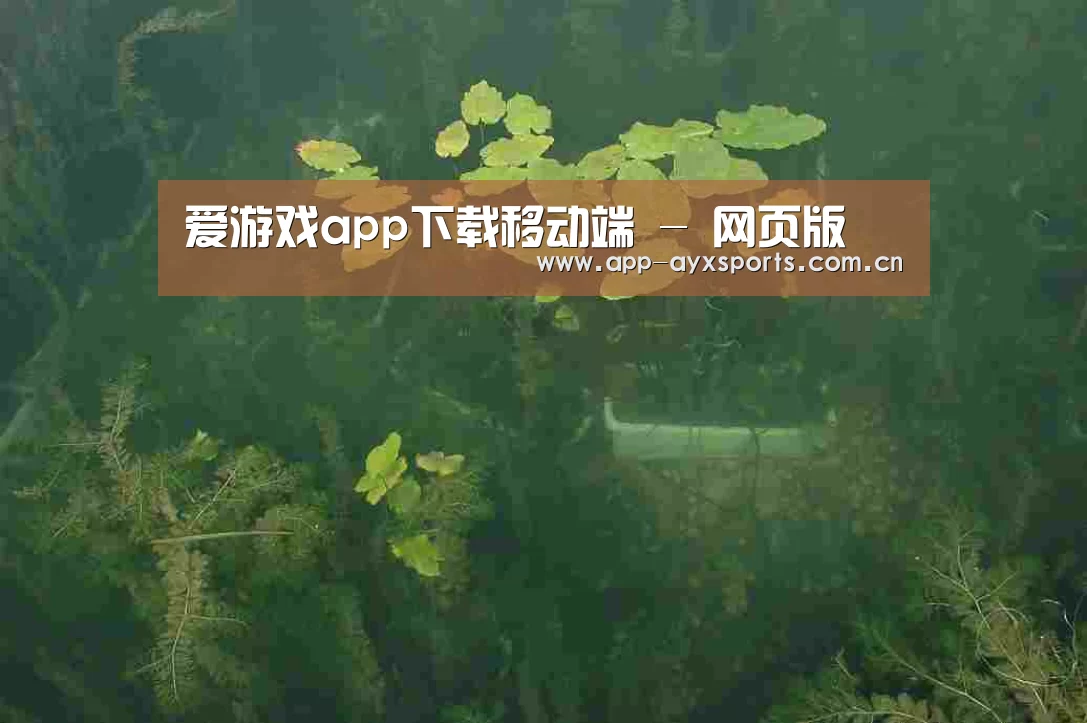 案例展示三(图1)