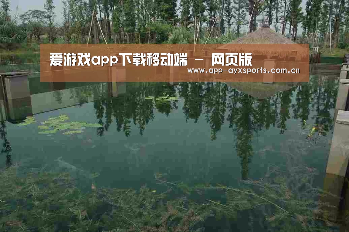 案例展示二