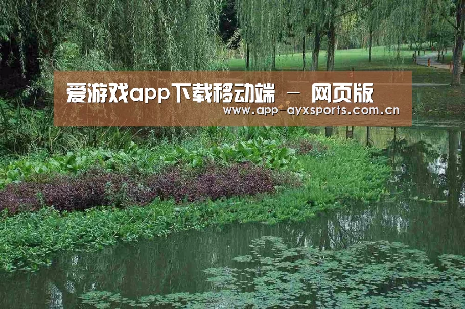 案例展示一