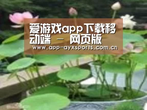 产品名称一
