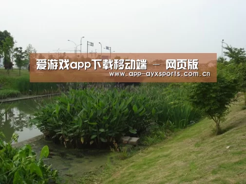 案例展示四
