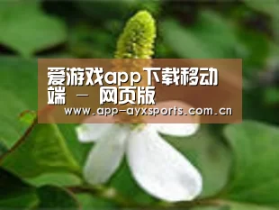 产品名称三