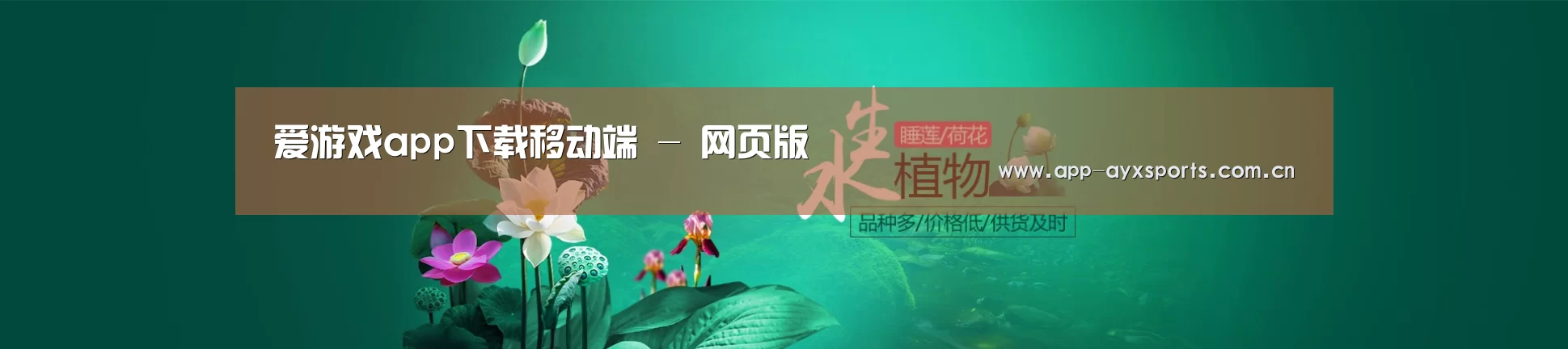鲜花水草花卉网站模板