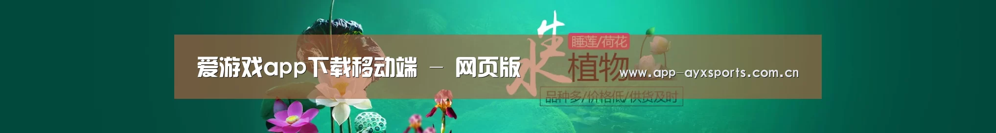 鲜花水草花卉网站模板