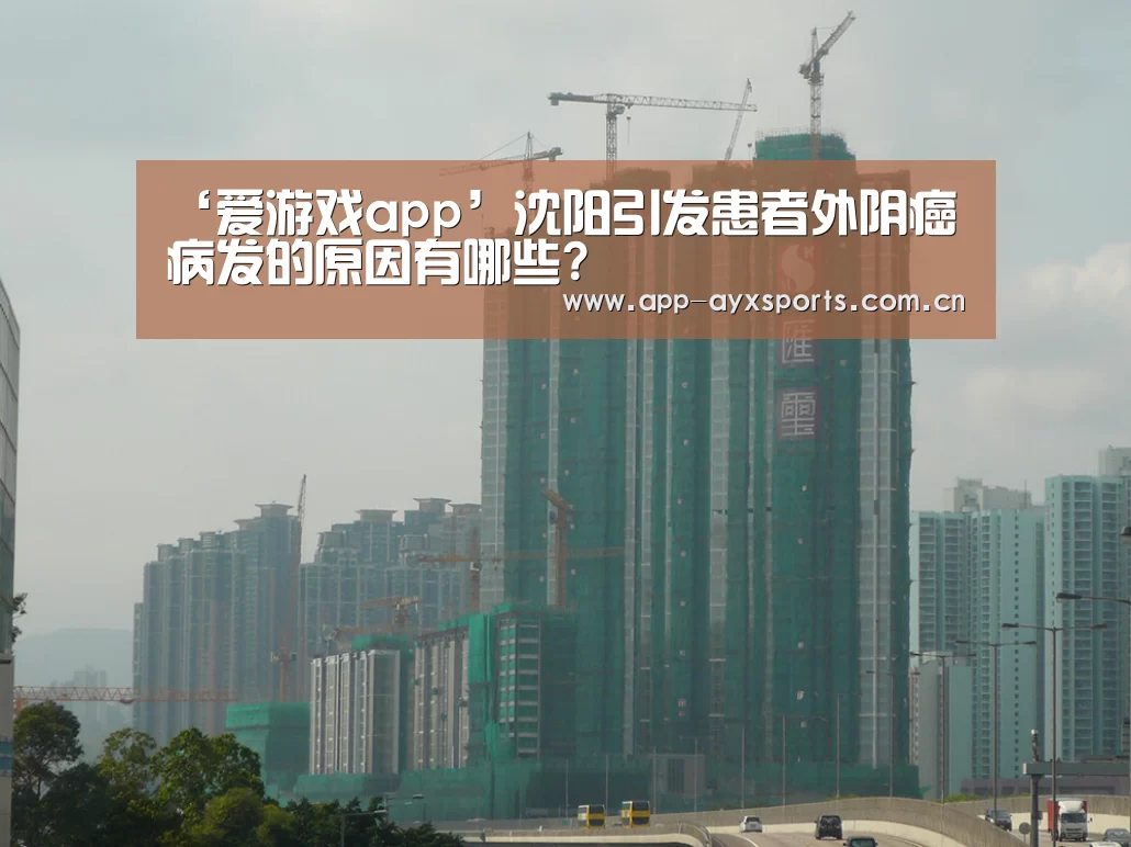 爱游戏直播