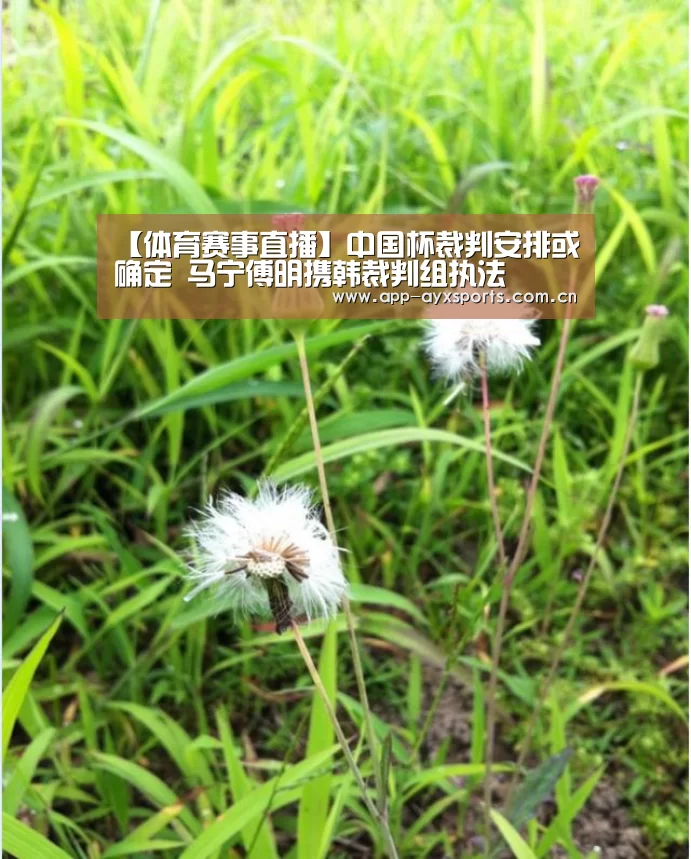体育赛事直播