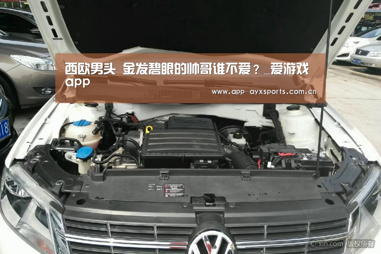 西欧男头 金发碧眼的帅哥谁不爱?_爱游戏app(图1) 体育赛事直播
