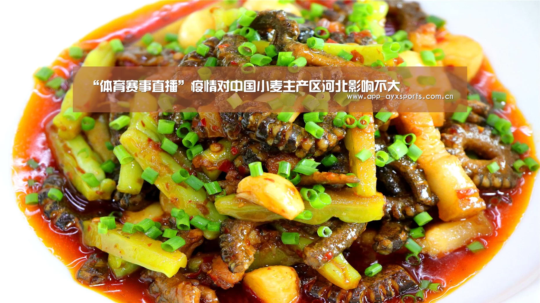 “体育赛事直播”疫情对中国小麦主产区河北影响不大(图3) 爱游戏平台