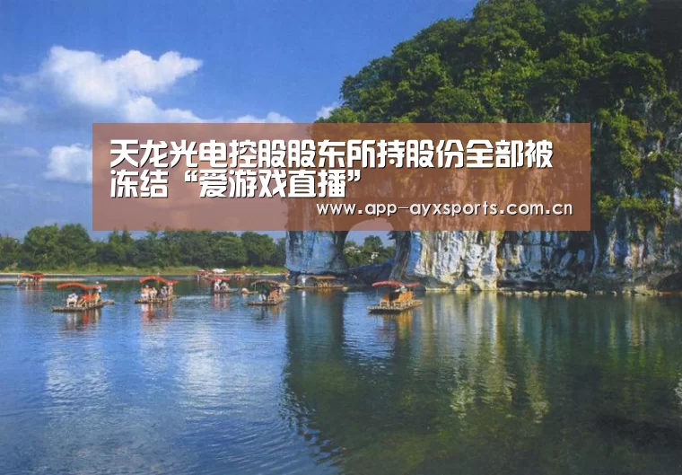 天龙光电控股股东所持股份全部被冻结“爱游戏直播”(图1) 爱游戏app