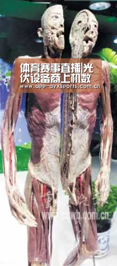 体育赛事直播|光伏设备商上机数控二度上市成功,进击中仍存疑点(图4) 爱游戏直播