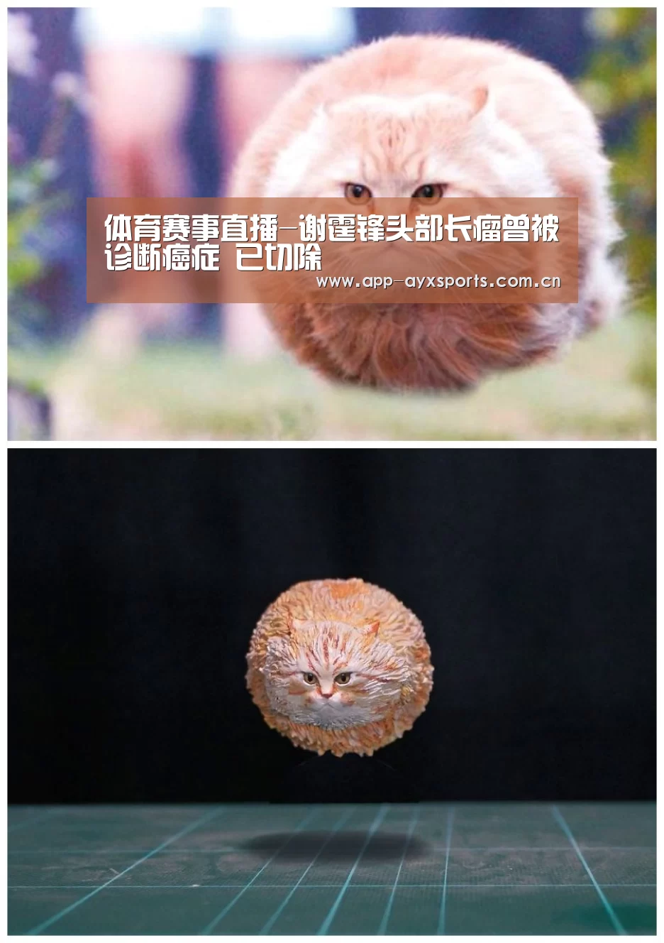 爱游戏直播