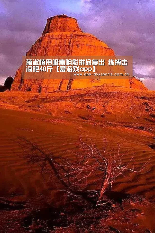 萧淑慎甩吸毒阴影拼命复出 练搏击减肥40斤【爱游戏app】(图1) 爱游戏直播