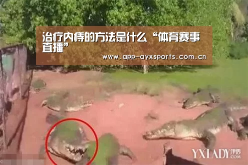 爱游戏直播