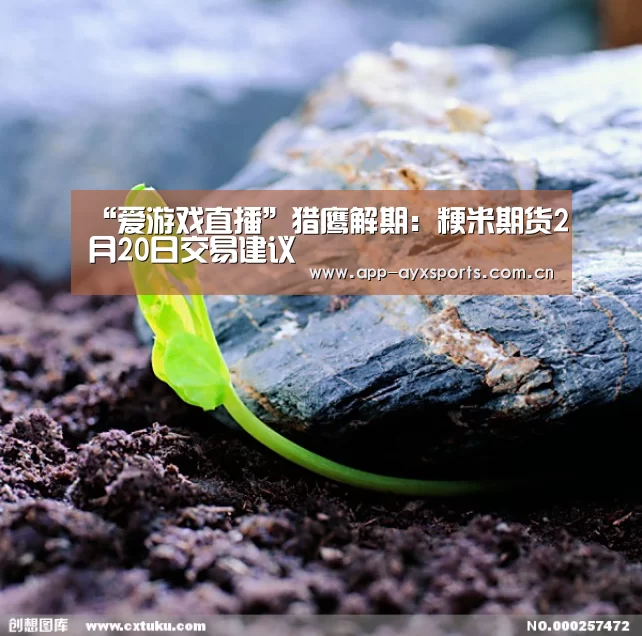 爱游戏直播
