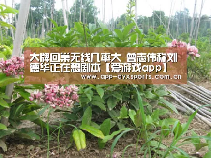 体育赛事直播
