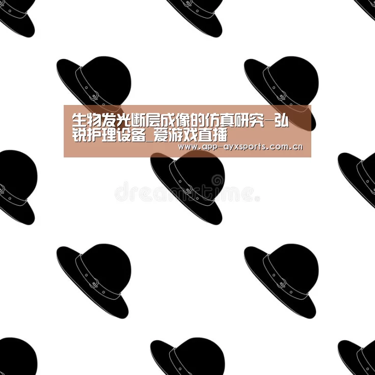 生物发光断层成像的仿真研究-弘锐护理设备_爱游戏直播(图1) 爱游戏app