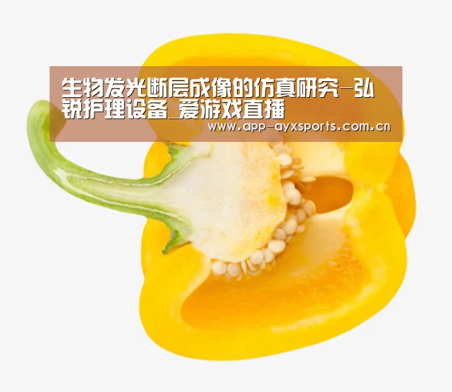 生物发光断层成像的仿真研究-弘锐护理设备_爱游戏直播(图2) 爱游戏app