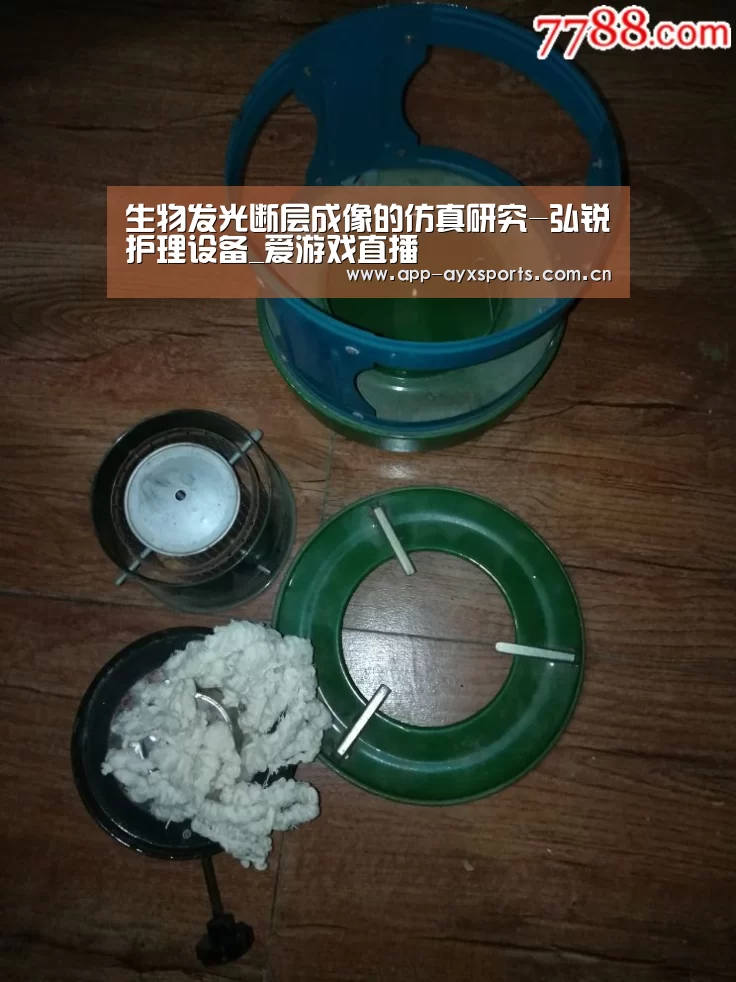 生物发光断层成像的仿真研究-弘锐护理设备_爱游戏直播(图3) 爱游戏app