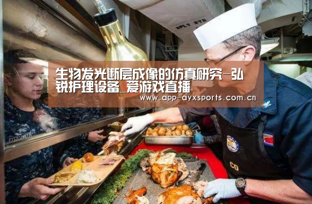 生物发光断层成像的仿真研究-弘锐护理设备_爱游戏直播(图4) 体育赛事直播