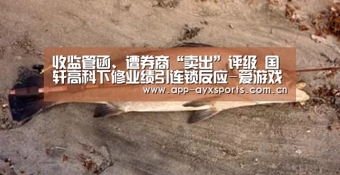 收监管函、遭券商“卖出”评级 国轩高科下修业绩引连锁反应-爱游戏app(图4) 爱游戏平台